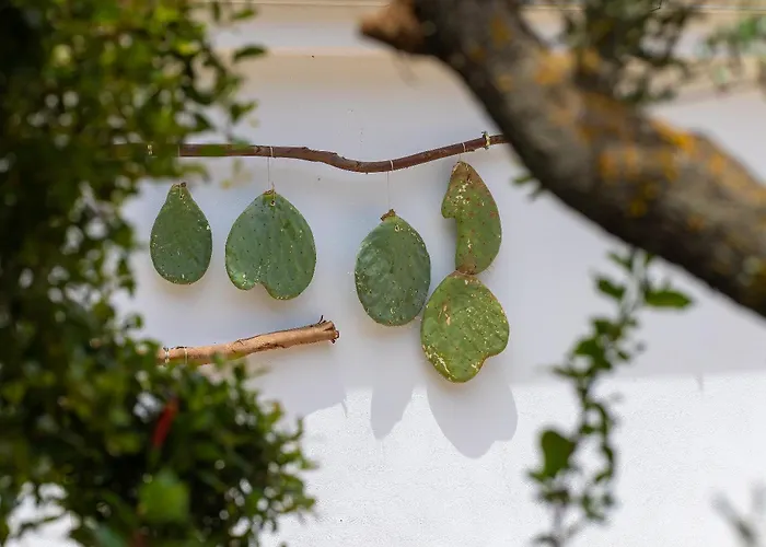 Masseria FontanelleAlbergo